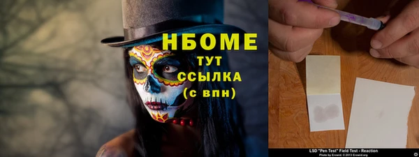 молекула духа Богородск