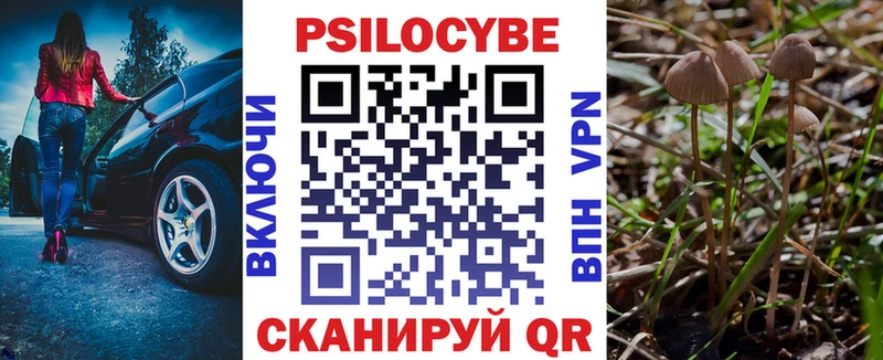 Псилоцибиновые грибы Psilocybine cubensis  Спасск-Дальний 